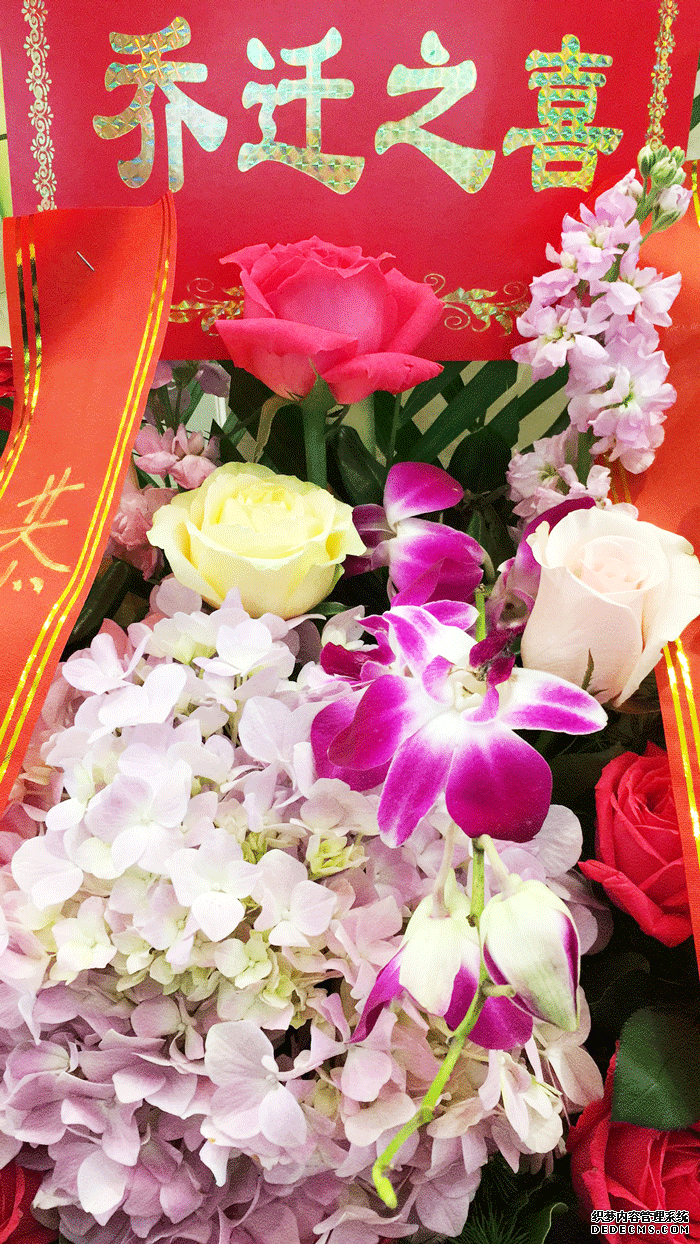 1521711725380093932.png 2.png